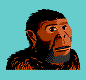 drawing of Australopithecus boisei